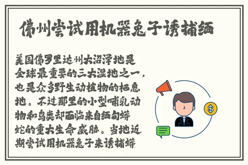 91亚洲乱码卡一卡二卡新区豆瓣